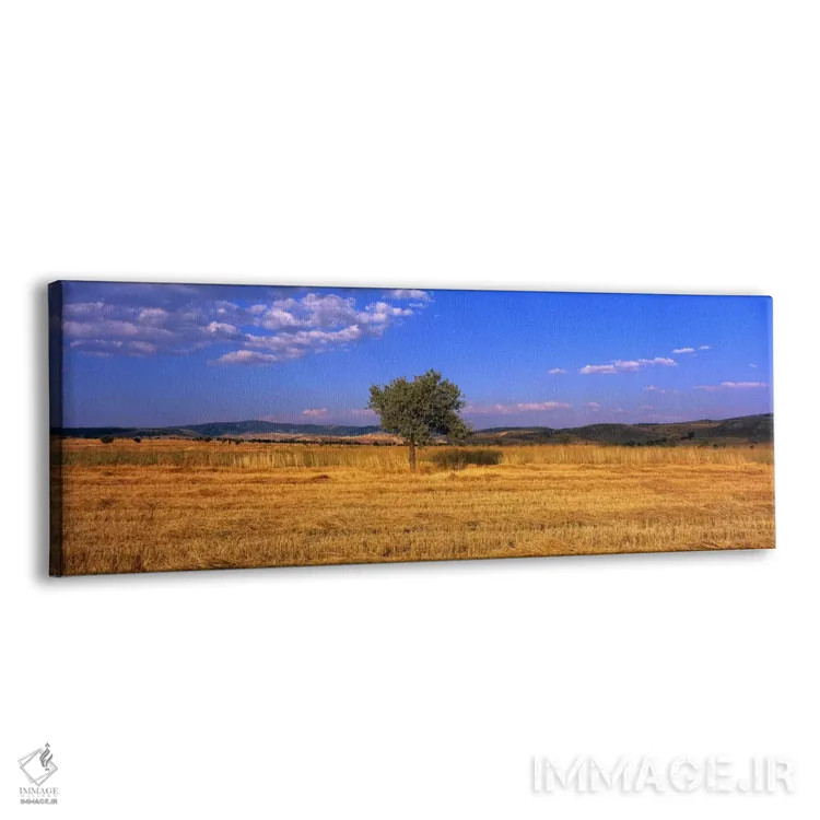تابلو مزرعه گندم در آناتولی مرکزی (ترکیه) اثر پانورامیک ایمجز (استودیو عکاسی عریض) - نمای پرسپکتیو محصول