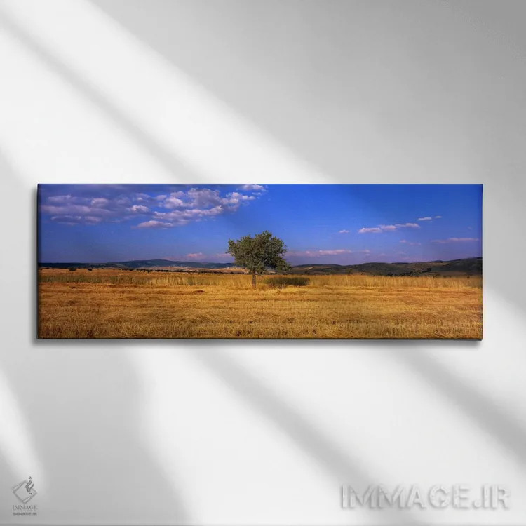 تابلو مزرعه گندم در آناتولی مرکزی (ترکیه) اثر پانورامیک ایمجز (استودیو عکاسی عریض) - نمای روبهرو روی دیوار