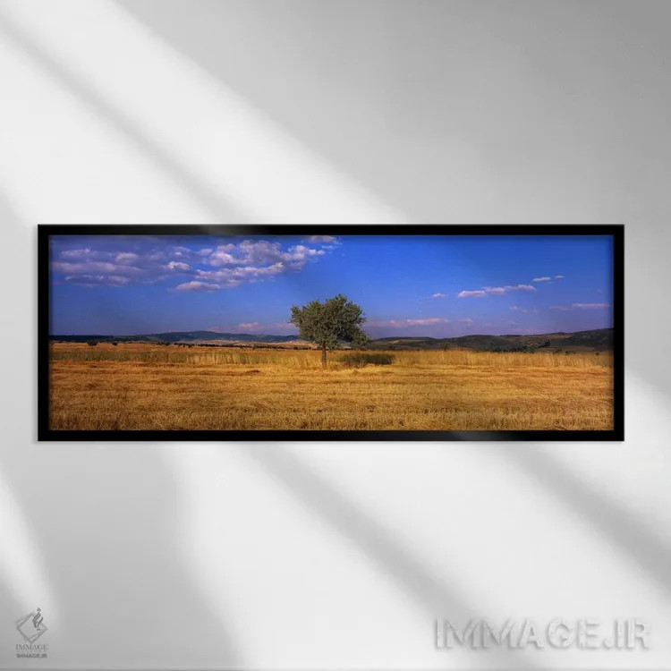 تابلو مزرعه گندم در آناتولی مرکزی (ترکیه) اثر پانورامیک ایمجز (استودیو عکاسی عریض) - نمای قابدار مشکی