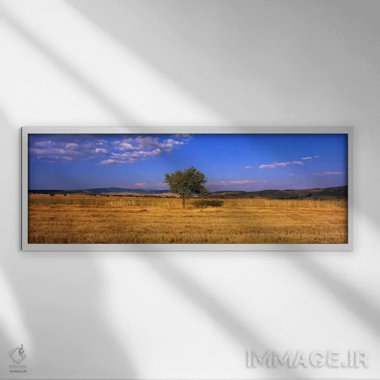 تابلو مزرعه گندم در آناتولی مرکزی (ترکیه) اثر پانورامیک ایمجز (استودیو عکاسی عریض) - نمای قابدار سفید