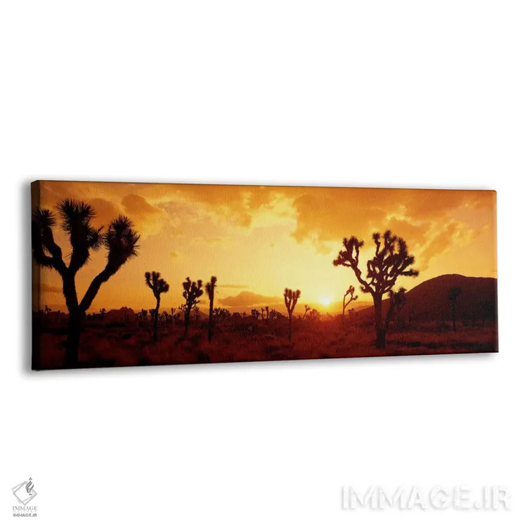 تابلو California, USA" - "غروب آفتاب در پارک درخت یوشا، کالیفرنیا، ایالات متحده" اثر پانورامیک ایمجز (استودیو عکاسی عریض) - نمای پرسپکتیو محصول