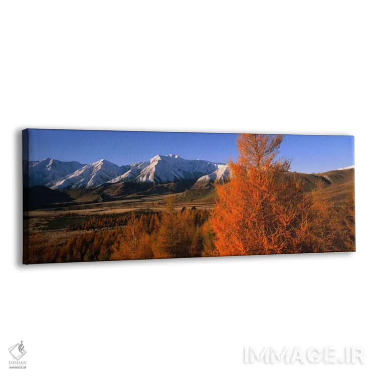 تابلو حوضه قلعه هیل، کوههای ترولس، نیوزیلند اثر پانورامیک ایمجز (استودیو عکاسی عریض) - نمای پرسپکتیو محصول