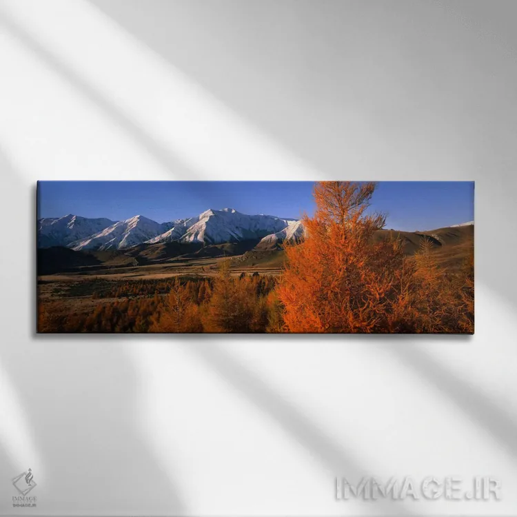 تابلو حوضه قلعه هیل، کوههای ترولس، نیوزیلند اثر پانورامیک ایمجز (استودیو عکاسی عریض) - نمای روبهرو روی دیوار