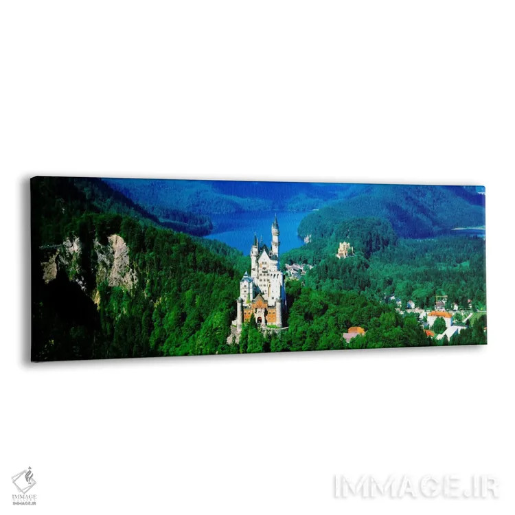 تابلو نمای هوایی از قلعه نویناشتاین، شووانگائو، بایرن، آلمان اثر پانورامیک ایمجز (استودیو عکاسی عریض) - نمای پرسپکتیو محصول