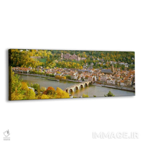 تابلو نمای هوایی از یک شهر در کنار رودخانه، قلعه هایدلبرگ، هایدلبرگ، بادن-وورتمبرگ، آلمان اثر پانورامیک ایمجز (استودیو عکاسی عریض) - نمای پرسپکتیو محصول