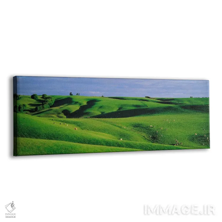 تابلو زمینهای کشاورزی، سوتلند، نیوزیلند اثر پانورامیک ایمجز (استودیو عکاسی عریض) - نمای پرسپکتیو محصول