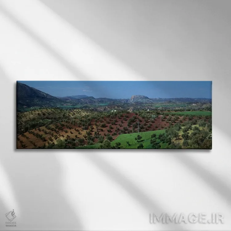تابلو باغهای زیتون، اندلس، اسپانیا اثر پانورامیک ایمجز (استودیو عکاسی عریض) - نمای روبهرو روی دیوار