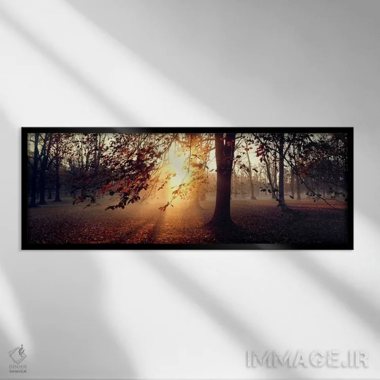 تابلو درختان بلوط، اوپلند، سوئد اثر پانورامیک ایمجز (استودیو عکاسی عریض) - نمای قابدار مشکی
