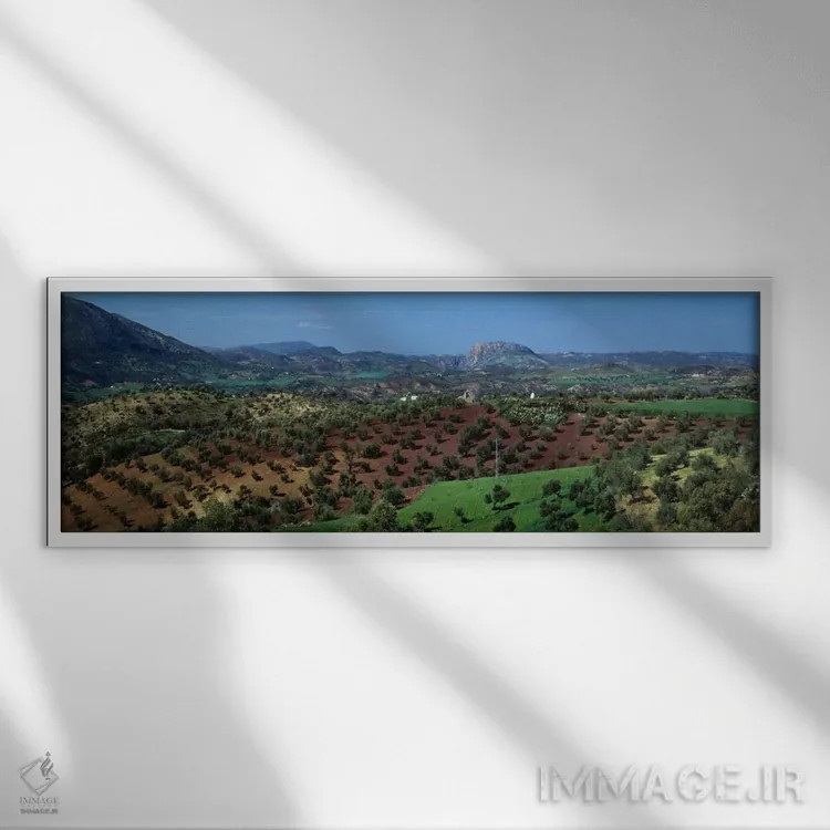 تابلو باغهای زیتون، اندلس، اسپانیا اثر پانورامیک ایمجز (استودیو عکاسی عریض) - نمای قابدار سفید