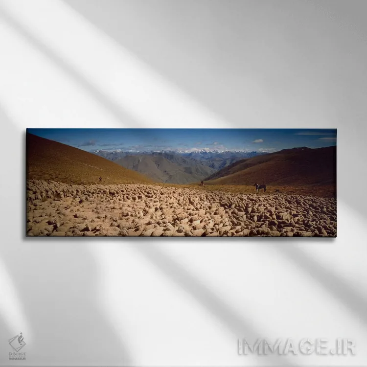 تابلو گوسفندان، اوتاگو، نیوزیلند اثر پانورامیک ایمجز (استودیو عکاسی عریض) - نمای روبهرو روی دیوار