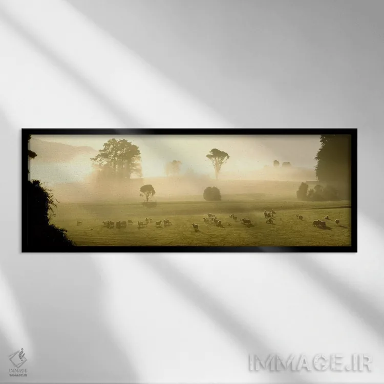 تابلو زمینهای کشاورزی و گوسفندان، سوتلند، نیوزیلند اثر پانورامیک ایمجز (استودیو عکاسی عریض) - نمای قابدار مشکی