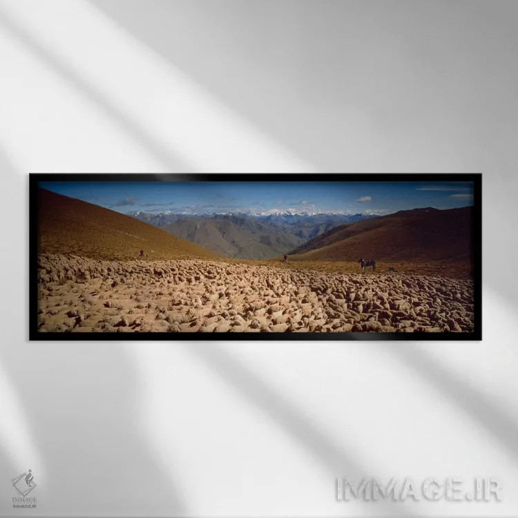 تابلو گوسفندان، اوتاگو، نیوزیلند اثر پانورامیک ایمجز (استودیو عکاسی عریض) - نمای قابدار مشکی