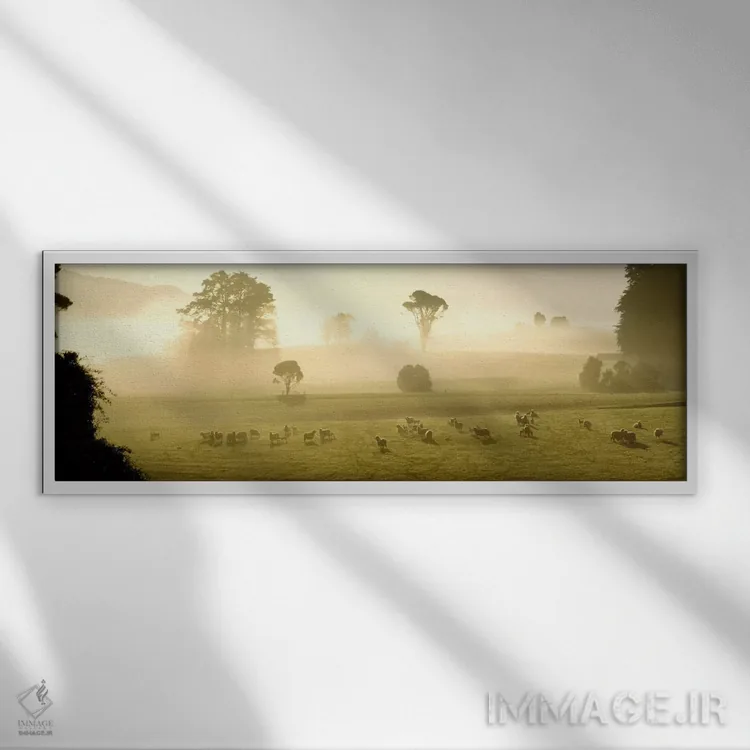 تابلو زمینهای کشاورزی و گوسفندان، سوتلند، نیوزیلند اثر پانورامیک ایمجز (استودیو عکاسی عریض) - نمای قابدار سفید