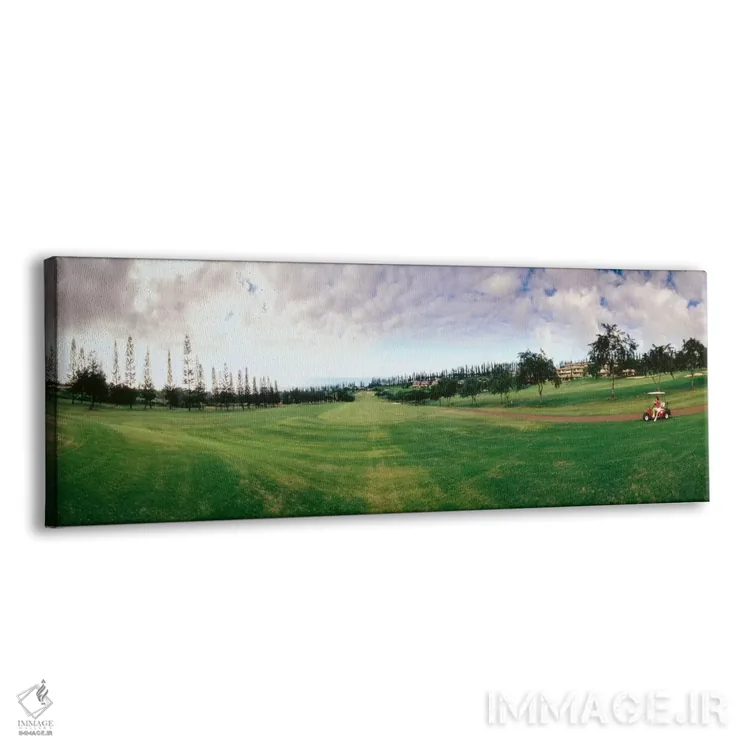 تابلو زمین گلف مائوی، هاوایی، ایالات متحده آمریکا اثر پانورامیک ایمجز (استودیو عکاسی عریض) - نمای پرسپکتیو محصول