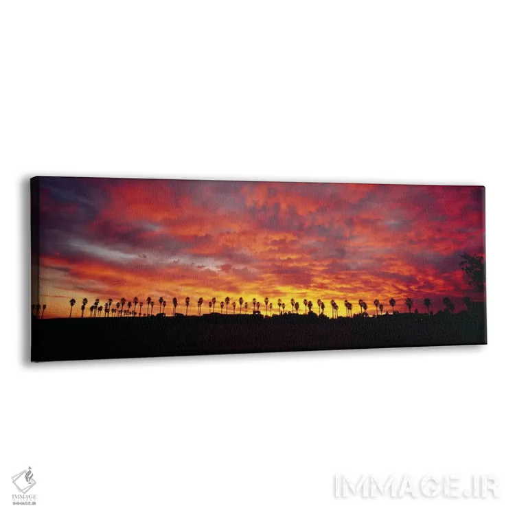 تابلو سایه درختان نخل در هنگام طلوع آفتاب، سن دیگو، شهرستان سن دیگو، کالیفرنیا، ایالات متحده آمریکا اثر پانورامیک ایمجز (استودیو عکاسی عریض) - نمای پرسپکتیو محصول