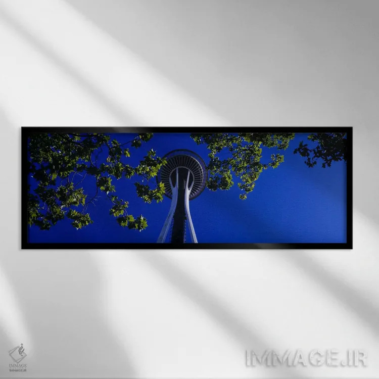 تابلو درختان افرا، اسپیس نیفل، مرکز سیاتل، سیاتل، واشنگتن، ایالات متحده آمریکا اثر پانورامیک ایمجز (استودیو عکاسی عریض) - نمای قابدار مشکی