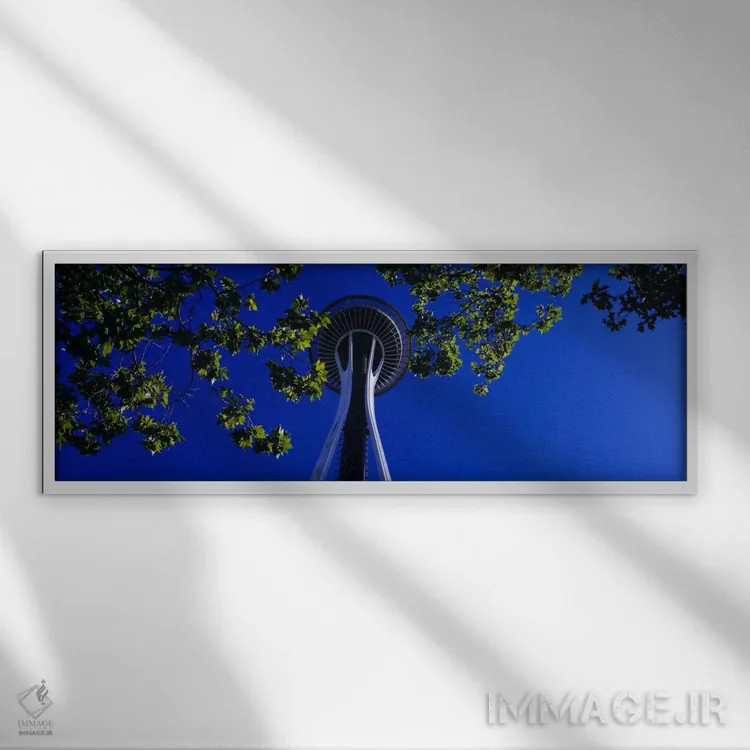 تابلو درختان افرا، اسپیس نیفل، مرکز سیاتل، سیاتل، واشنگتن، ایالات متحده آمریکا اثر پانورامیک ایمجز (استودیو عکاسی عریض) - نمای قابدار سفید
