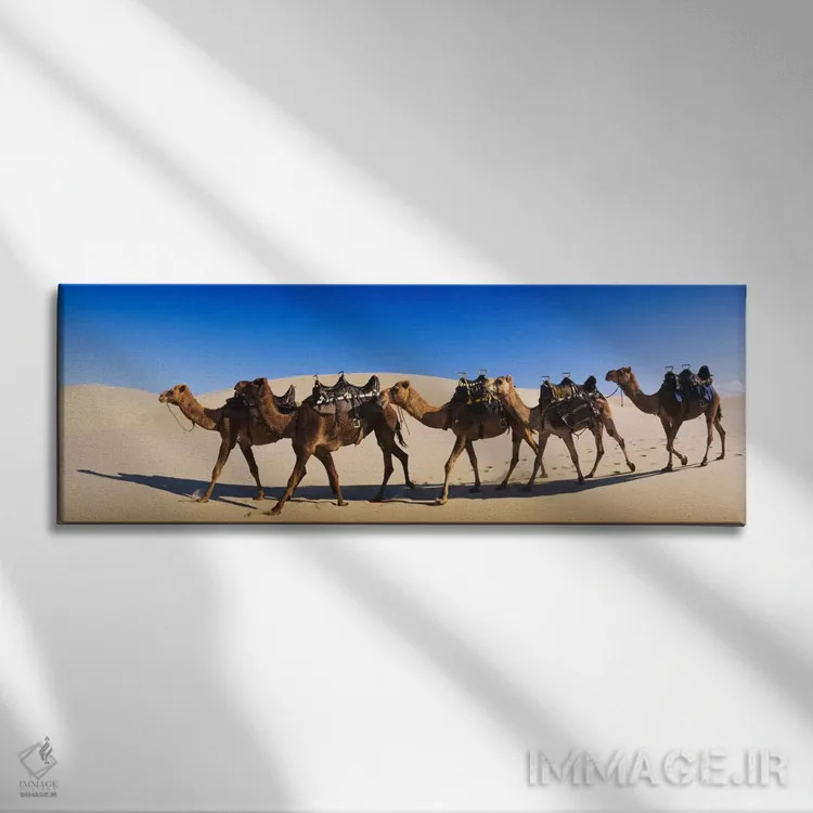 تابلو شترها در حال راه رفتن در بیابان اثر پانورامیک ایمجز (استودیو عکاسی عریض) - نمای روبهرو روی دیوار