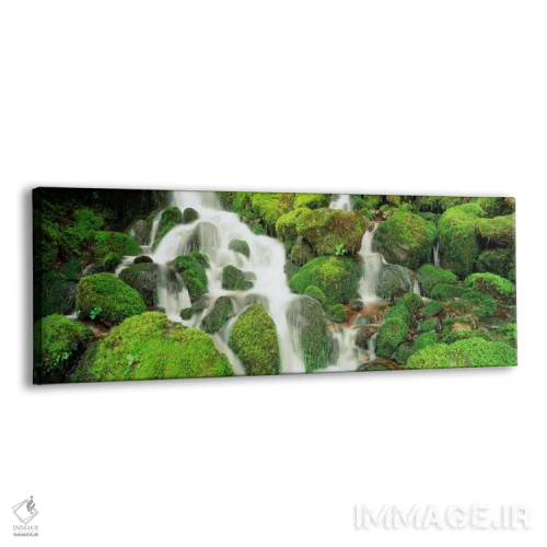 تابلو "آبشار سول داک، پارک ملی المپیک، واشنگتن، ایالات متحده" اثر پانورامیک ایمجز (استودیو عکاسی عریض) - نمای پرسپکتیو محصول