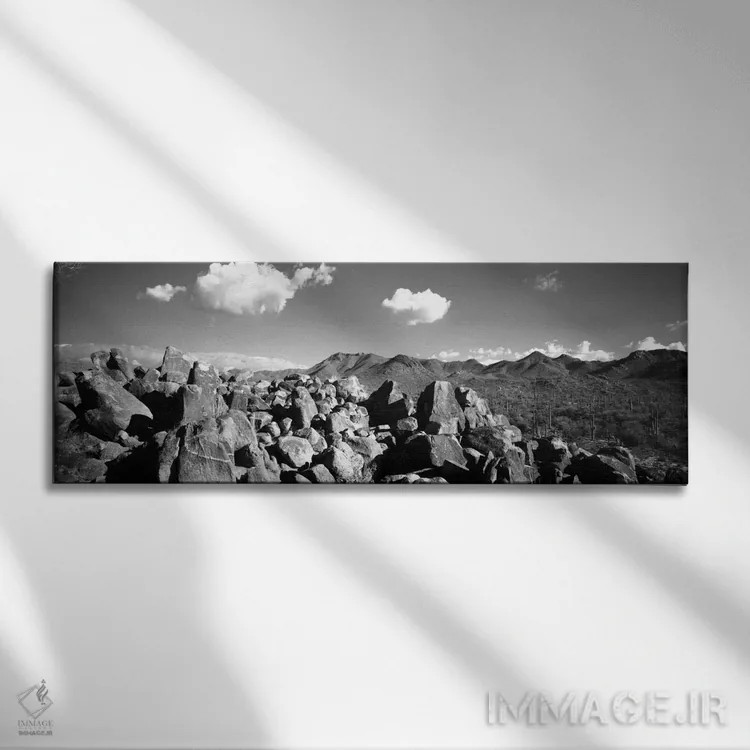 تابلو "سنگها بر روی یک چشمانداز، پارک ملی ساگوارو، توسان، شهرستان پاما، آریزونا، ایالات متحده" اثر پانورامیک ایمجز (استودیو عکاسی عریض) - نمای روبهرو روی دیوار