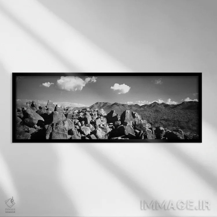 تابلو "سنگها بر روی یک چشمانداز، پارک ملی ساگوارو، توسان، شهرستان پاما، آریزونا، ایالات متحده" اثر پانورامیک ایمجز (استودیو عکاسی عریض) - نمای قابدار مشکی