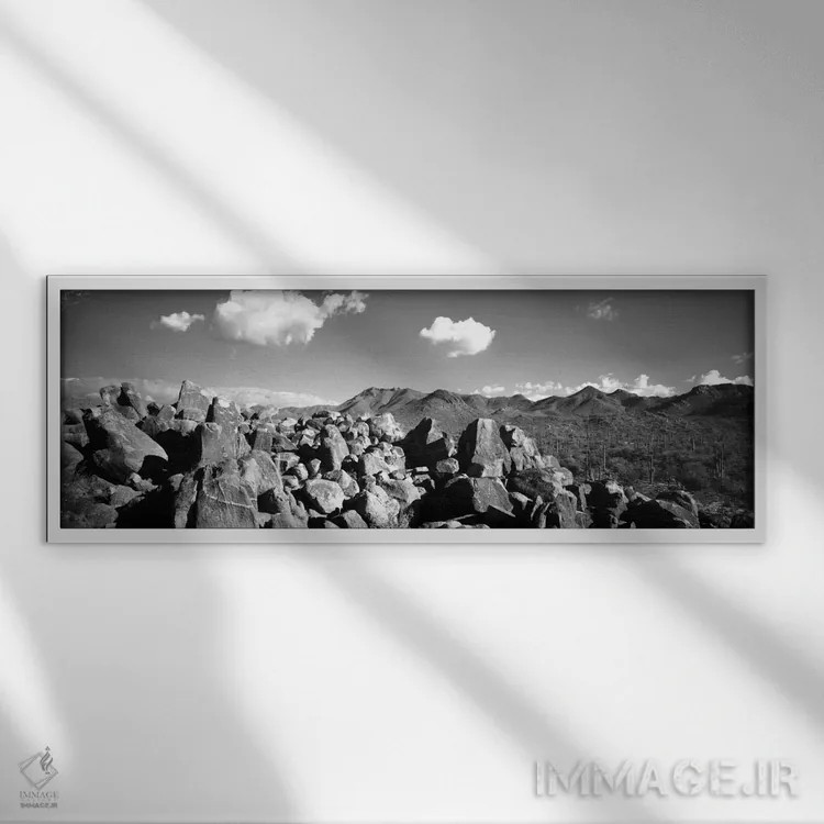 تابلو "سنگها بر روی یک چشمانداز، پارک ملی ساگوارو، توسان، شهرستان پاما، آریزونا، ایالات متحده" اثر پانورامیک ایمجز (استودیو عکاسی عریض) - نمای قابدار سفید