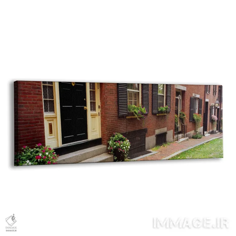 تابلو گیاهان گلدانی در بیرون از یک خانه، خیابان آکورن، تپه بیکن، بوستون، ماساچوست، ایالات متحده آمریکا اثر پانورامیک ایمجز (استودیو عکاسی عریض) - نمای پرسپکتیو محصول