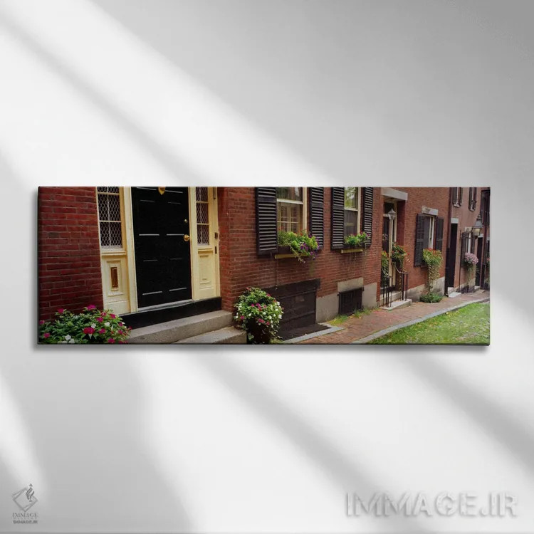 تابلو گیاهان گلدانی در بیرون از یک خانه، خیابان آکورن، تپه بیکن، بوستون، ماساچوست، ایالات متحده آمریکا اثر پانورامیک ایمجز (استودیو عکاسی عریض) - نمای روبهرو روی دیوار