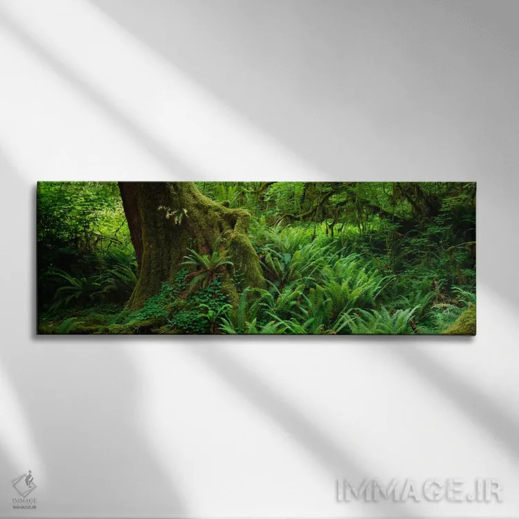 تابلو Hoh Rainforest, Olympic National Forest, Washington State, USA" - "سرخسها و پیچکها در کنار درختی با خزه، جنگل بارانی هوه، پارک ملی المپیک، ایالت واشنگتن، ایالات متحده آمریکا" اثر پانورامیک ایمجز (استودیو عکاسی عریض) - نمای روبهرو روی دیوار