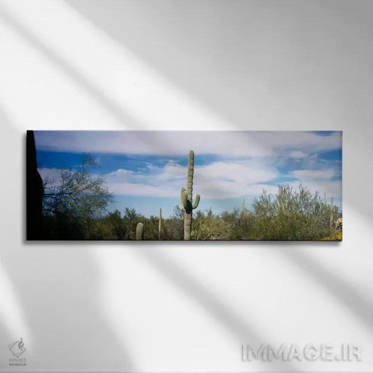 تابلو Organ Pipe Cactus National Monument, Arizona, USA" - "منظره بیابانی، بنای ملی ارگان پایپ ککتوس، آریزونا، ایالات متحده آمریکا" اثر پانورامیک ایمجز (استودیو عکاسی عریض) - نمای روبهرو روی دیوار