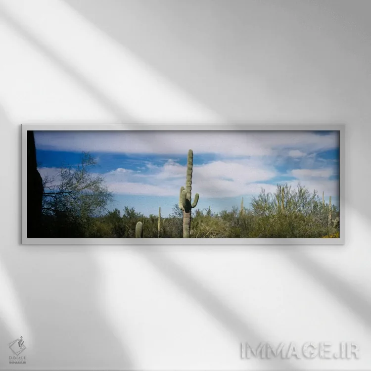 تابلو Organ Pipe Cactus National Monument, Arizona, USA" - "منظره بیابانی، بنای ملی ارگان پایپ ککتوس، آریزونا، ایالات متحده آمریکا" اثر پانورامیک ایمجز (استودیو عکاسی عریض) - نمای قابدار سفید