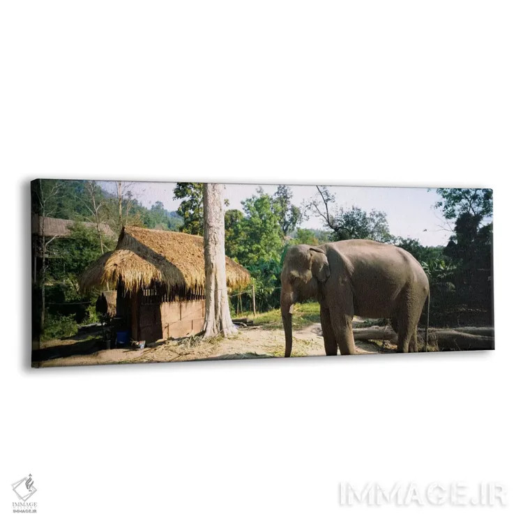 تابلو Chiang Mai, Thailand,فیل ایستاده بیرون کلبهای در روستا، چیانگ مای، تایلند اثر پانورامیک ایمجز (استودیو عکاسی عریض) - نمای پرسپکتیو محصول