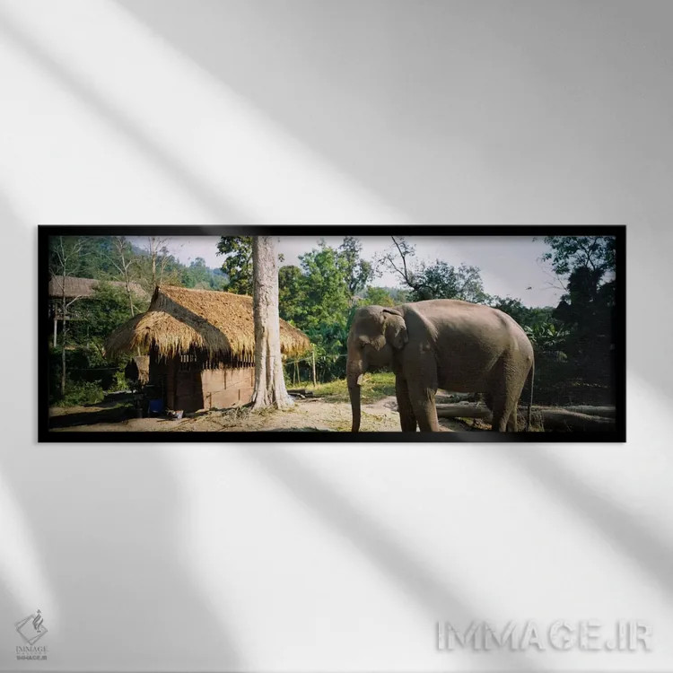 تابلو Chiang Mai, Thailand,فیل ایستاده بیرون کلبهای در روستا، چیانگ مای، تایلند اثر پانورامیک ایمجز (استودیو عکاسی عریض) - نمای قابدار مشکی