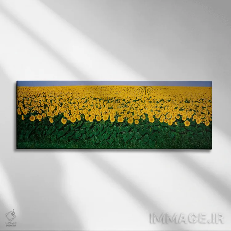 تابلو مزرعه گل آفتابگردان، مریلند، ایالات متحده اثر پانورامیک ایمجز (استودیو عکاسی عریض) - نمای روبهرو روی دیوار