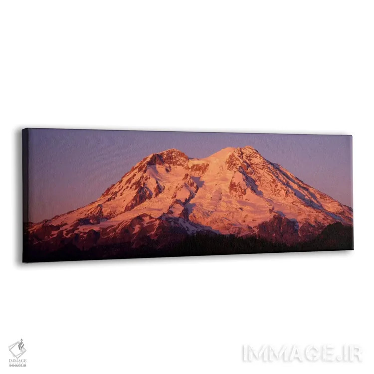تابلو ایالات متحده، واشنگتن، پارک ملی کوه رینیر اثر پانورامیک ایمجز (استودیو عکاسی عریض) - نمای پرسپکتیو محصول