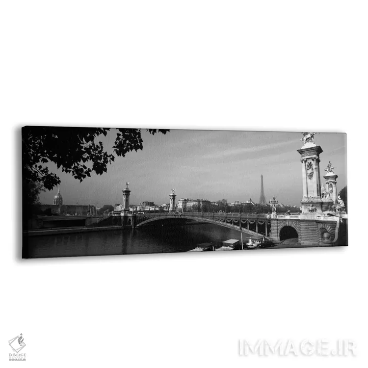 تابلو پل الکساندر سوم و برج ایفل دوردست در سیاه و سفید، پاریس، ایل-دو-فرانس، فرانسه اثر پانورامیک ایمجز (استودیو عکاسی عریض) - نمای پرسپکتیو محصول