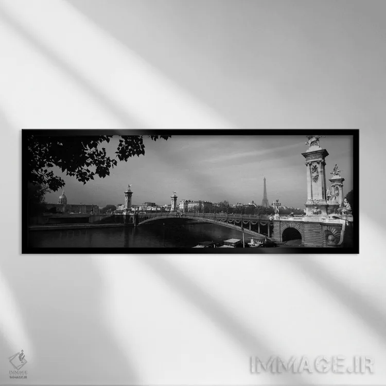 تابلو پل الکساندر سوم و برج ایفل دوردست در سیاه و سفید، پاریس، ایل-دو-فرانس، فرانسه اثر پانورامیک ایمجز (استودیو عکاسی عریض) - نمای قابدار مشکی