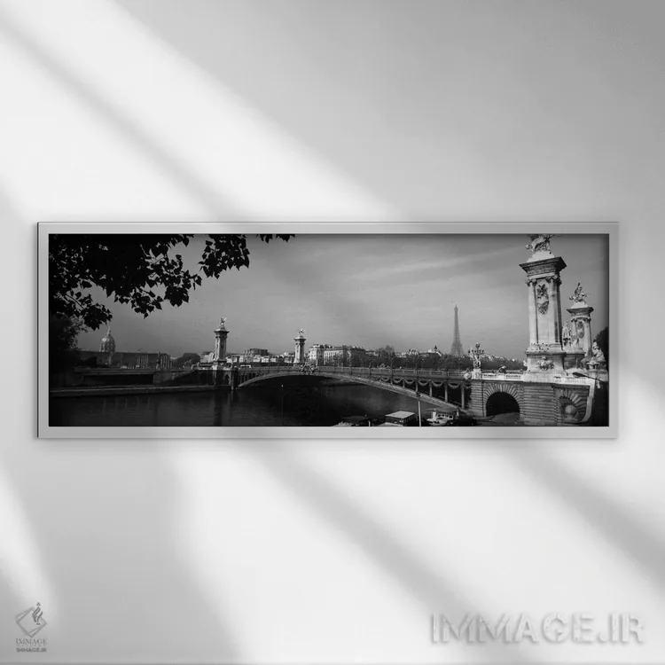 تابلو پل الکساندر سوم و برج ایفل دوردست در سیاه و سفید، پاریس، ایل-دو-فرانس، فرانسه اثر پانورامیک ایمجز (استودیو عکاسی عریض) - نمای قابدار سفید