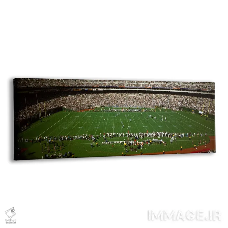 تابلو تماشاچی در حال تماشای مسابقه فوتبال، استادیوم وترانس، فیلادلفیا، پنسیلوانیا، ایالات متحده آمریکا #۳ اثر پانورامیک ایمجز (استودیو عکاسی عریض) - نمای پرسپکتیو محصول