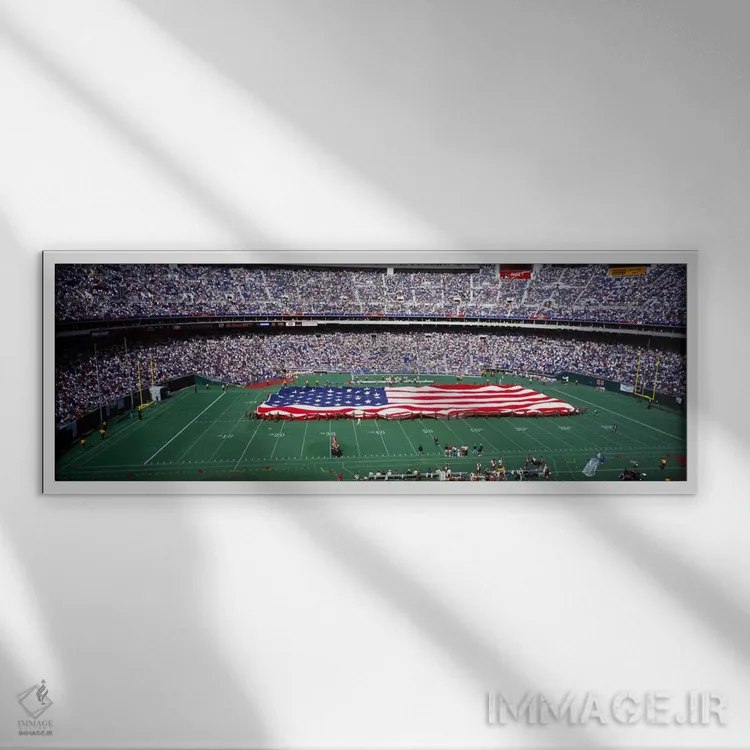 تابلو تماشاچی در حال تماشای مسابقه فوتبال، استادیوم وترانس، فیلادلفیا، پنسیلوانیا، ایالات متحده آمریکا #۴ اثر پانورامیک ایمجز (استودیو عکاسی عریض) - نمای قابدار سفید
