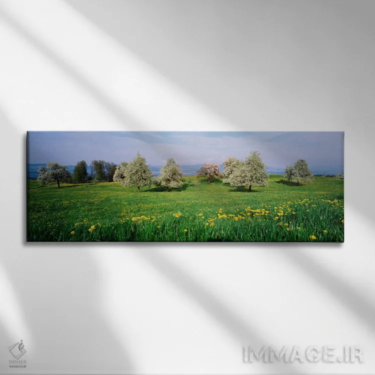 تابلو زمینهای درختان گلابی، آراو، سوئیس اثر پانورامیک ایمجز (استودیو عکاسی عریض) - نمای روبهرو روی دیوار