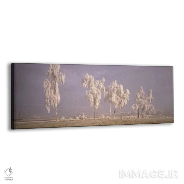 تابلو درختان بید با یخ، سوئیس اثر پانورامیک ایمجز (استودیو عکاسی عریض) - نمای پرسپکتیو محصول