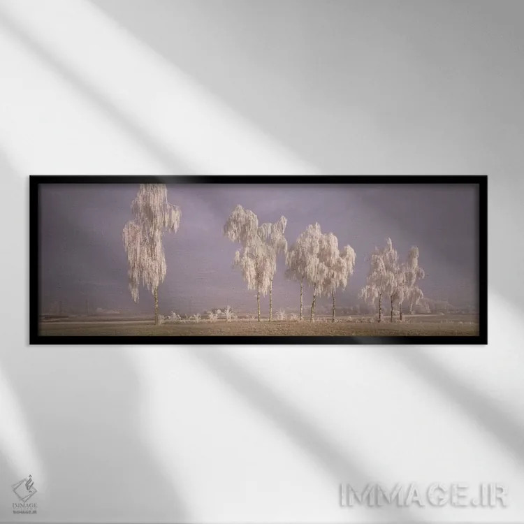 تابلو درختان بید با یخ، سوئیس اثر پانورامیک ایمجز (استودیو عکاسی عریض) - نمای قابدار مشکی