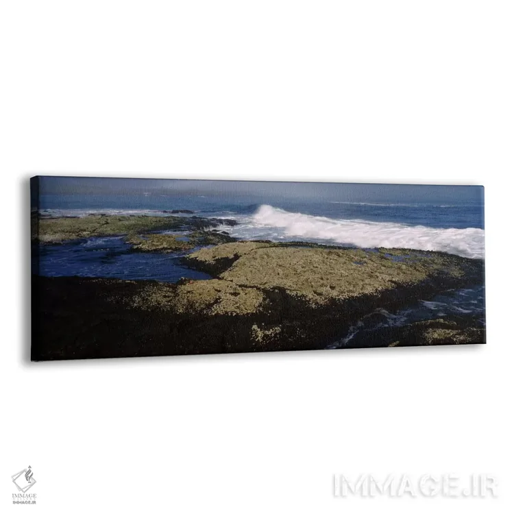 تابلو اشکال سنگی در ساحل، جزیره فرنانباورا، جزایر گالاپاگوس، اکوادور اثر پانورامیک ایمجز (استودیو عکاسی عریض) - نمای پرسپکتیو محصول