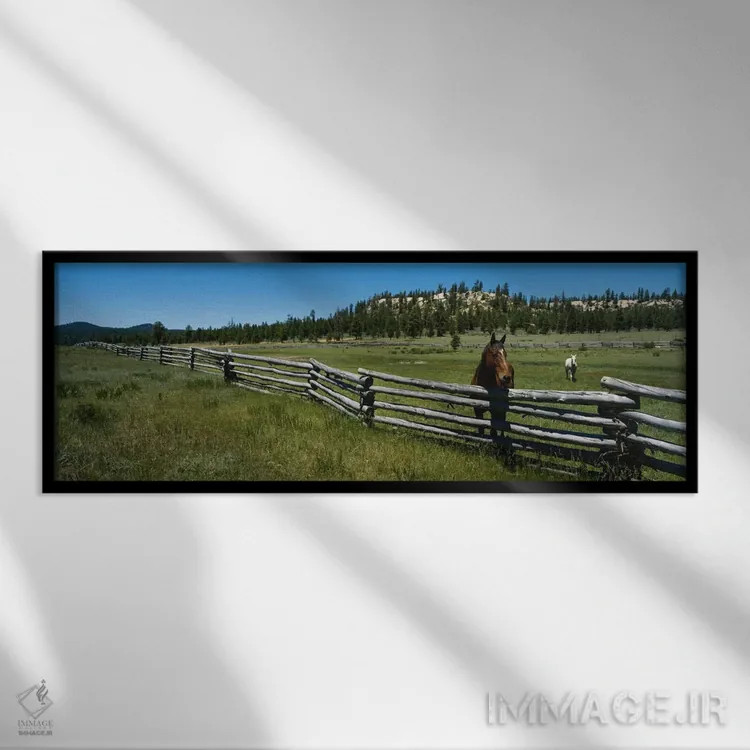 تابلو دو اسب در یک مزرعه، آریزونا، آمریکا اثر پانورامیک ایمجز (استودیو عکاسی عریض) - نمای قابدار مشکی