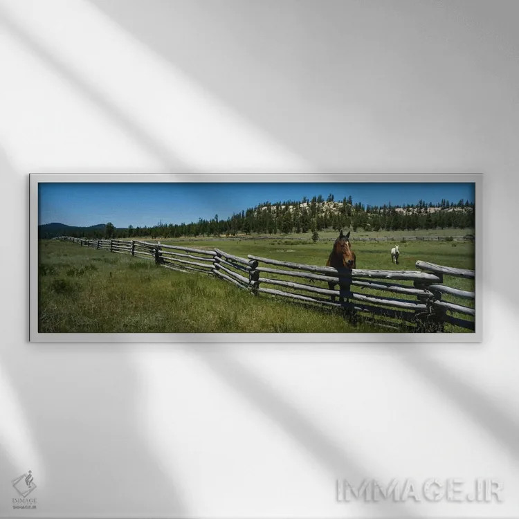 تابلو دو اسب در یک مزرعه، آریزونا، آمریکا اثر پانورامیک ایمجز (استودیو عکاسی عریض) - نمای قابدار سفید