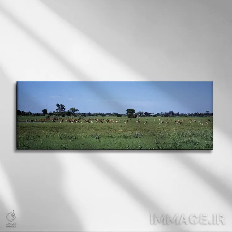 تابلو لکویی قرمز، منطقه حفاظتشده حیاتوحش مورمی، بوتسوانا، آفریقا اثر پانورامیک ایمجز (استودیو عکاسی عریض) - نمای روبهرو روی دیوار