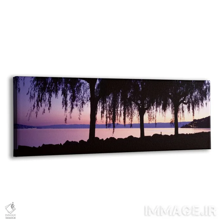 تابلو درختان بید ریزان، دریاچه ژنو، سنت سافورین، سوئیس اثر پانورامیک ایمجز (استودیو عکاسی عریض) - نمای پرسپکتیو محصول