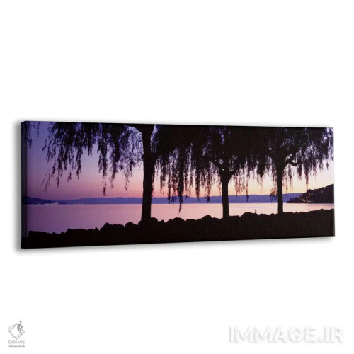 تابلو درختان بید ریزان، دریاچه ژنو، سنت سافورین، سوئیس اثر پانورامیک ایمجز (استودیو عکاسی عریض) - نمای پرسپکتیو محصول