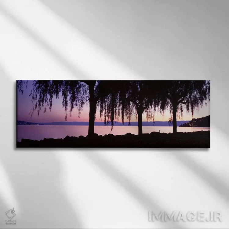 تابلو درختان بید ریزان، دریاچه ژنو، سنت سافورین، سوئیس اثر پانورامیک ایمجز (استودیو عکاسی عریض) - نمای روبهرو روی دیوار